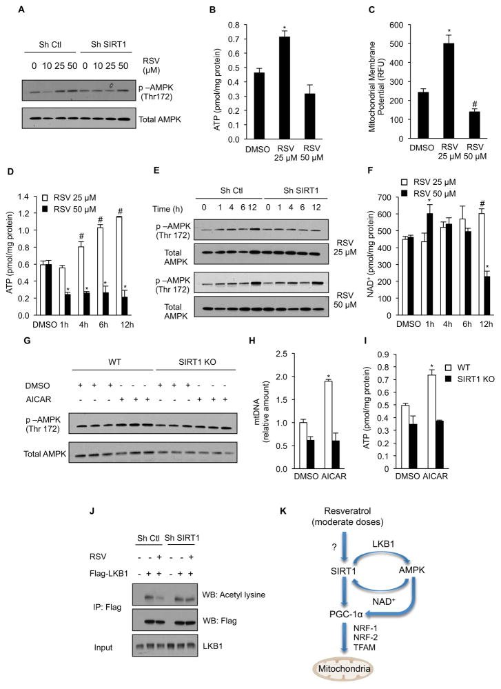 Slim+ TrimMax Complex™: A Science-Based Approach to Anti-Aging Metabolic Reset
